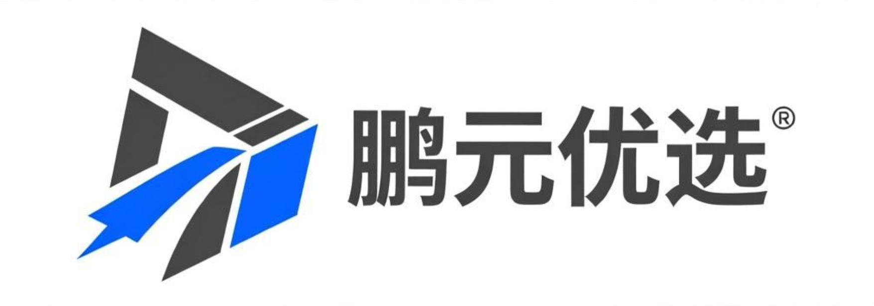 沈阳鹏元信息科技有限公司